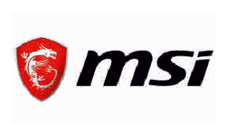 MSI